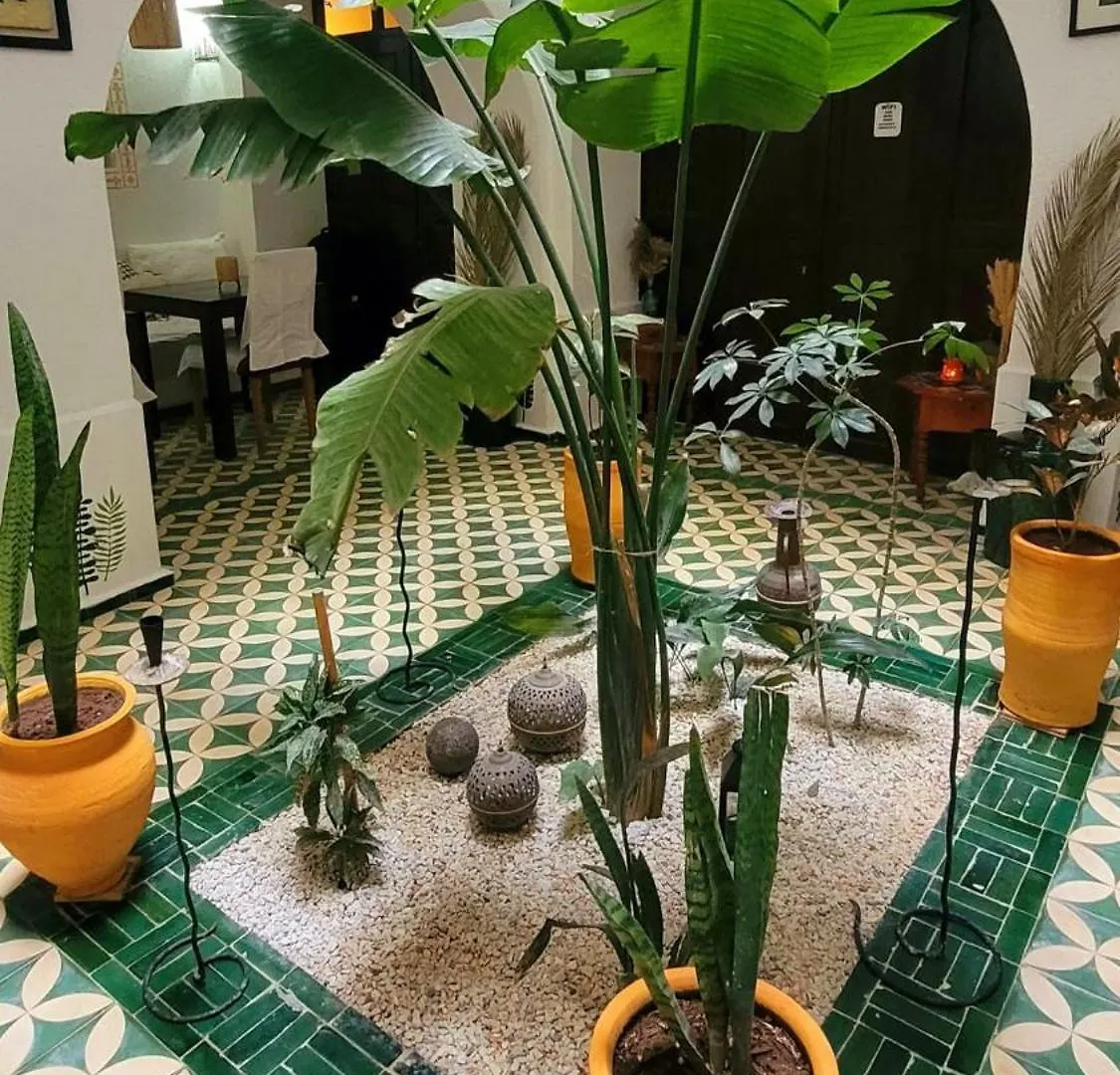 ***  Riad Ocean Medina Essaouira Maroc