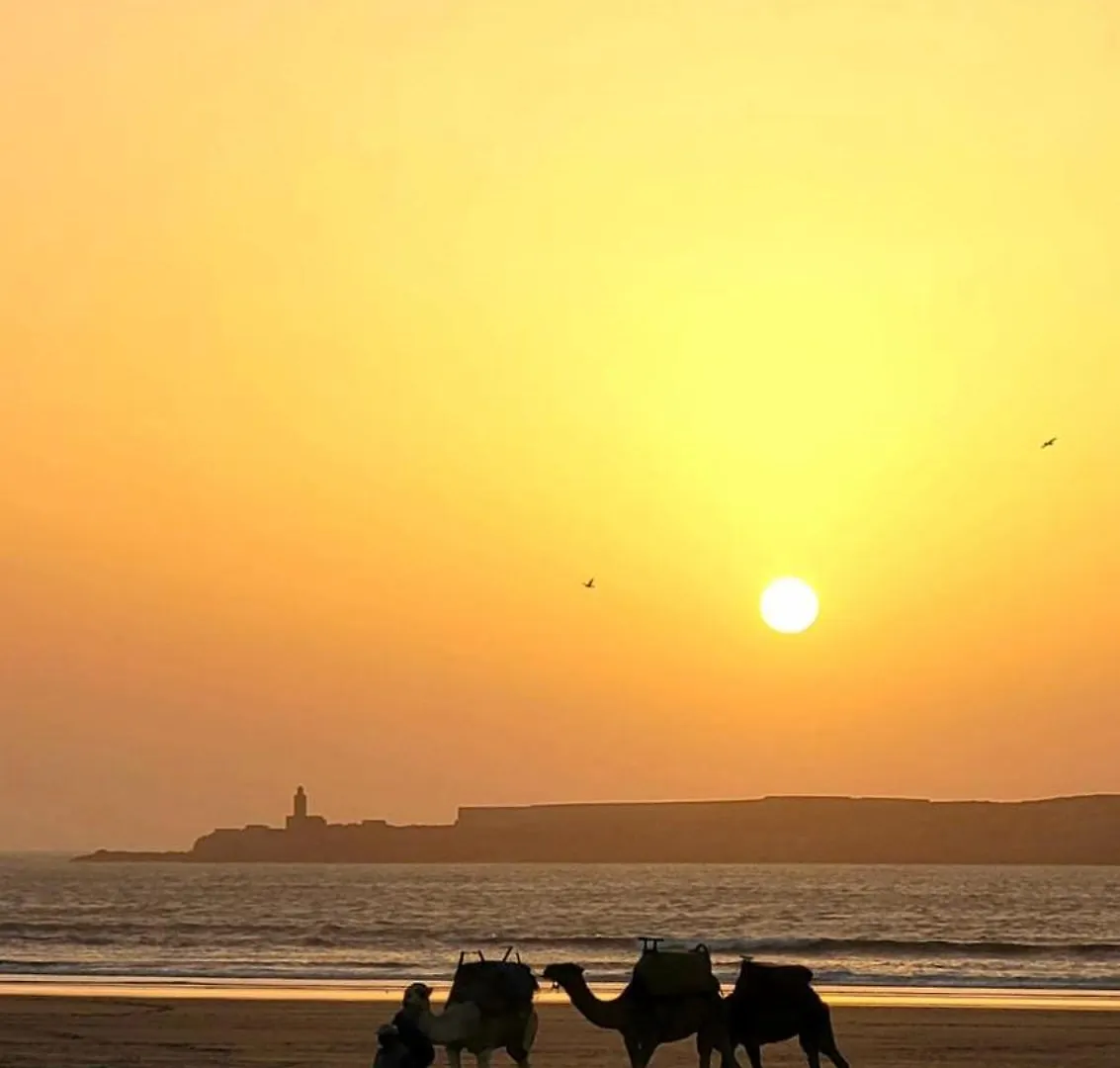 Riad Ocean Medina Essaouira 3*,